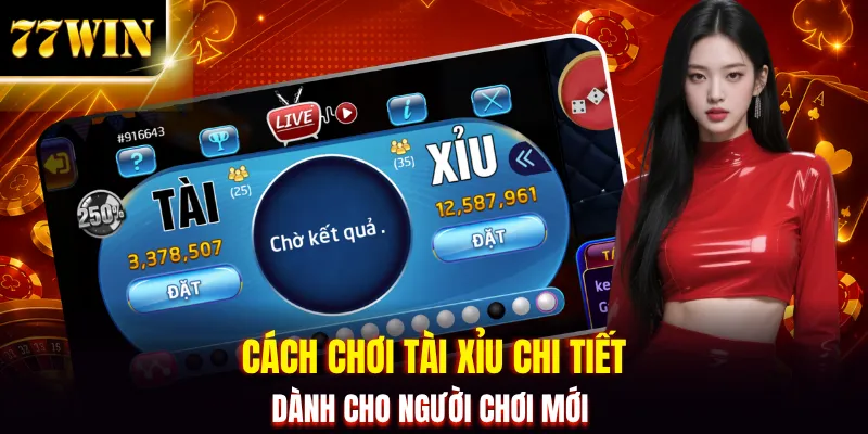 Cách Chơi Tài Xỉu - Hiểu Luật Nhanh, Tối Ưu Ngân Sách 