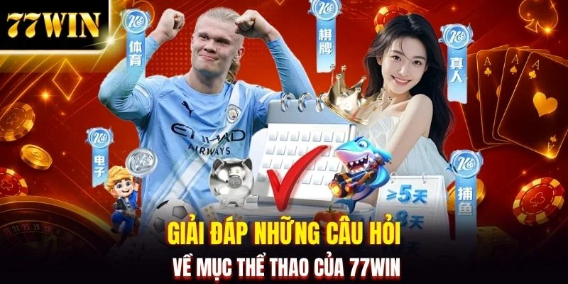 Thể Thao 77WIN: Tỷ Lệ Kèo Siêu Tốc, Trả Thưởng Cực Nhanh